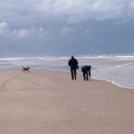 6 Reiseziele für einen Traumurlaub mit Hund an der Nordsee